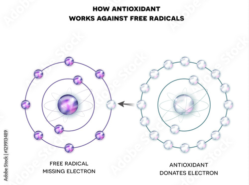 How antioxidant works against free radicals. Antioxidant donates missing electron to Free radical, now all electrons are paired.