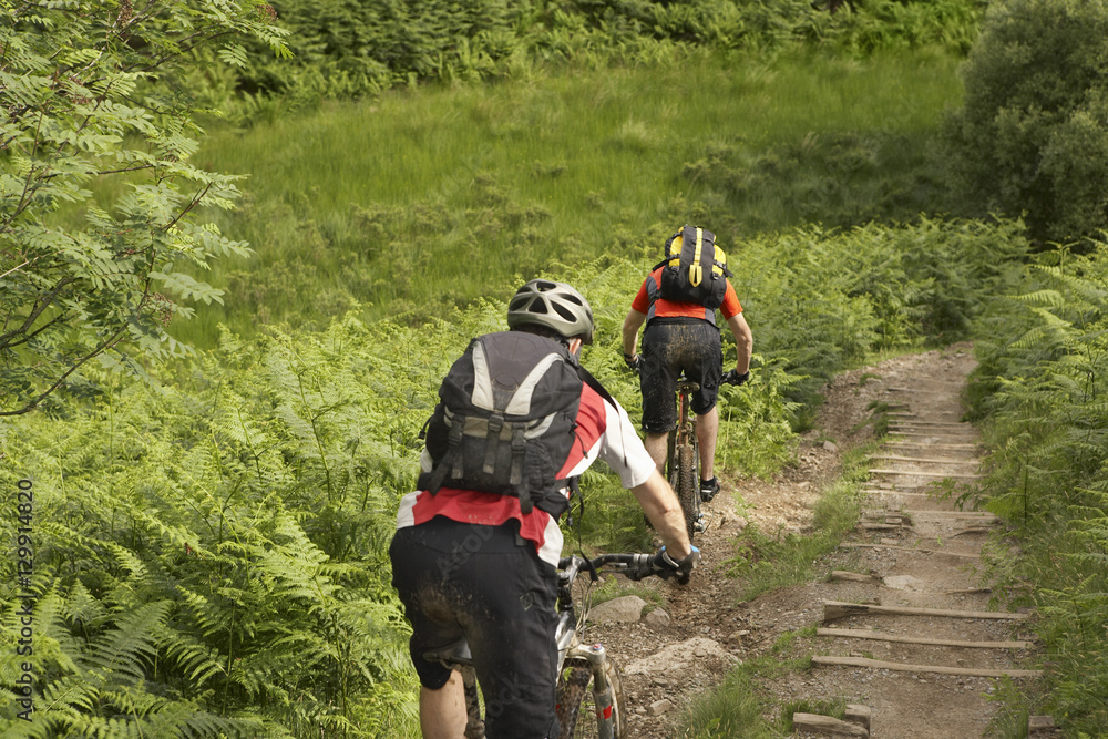 Rear view of two male cyclists on countryside track Rear view of two male cyclists on countryside track
