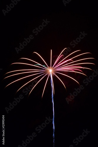 Fireworks Flower