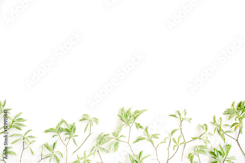 green leaf pattern on white background. flat lay header