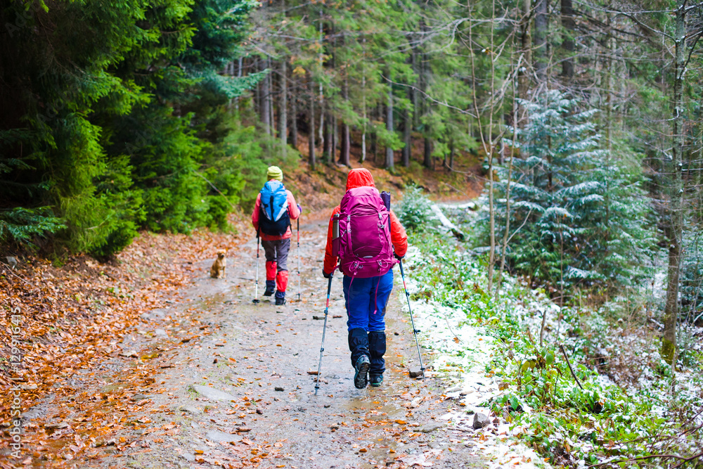 Fototapeta premium Two tourists with backpacks.