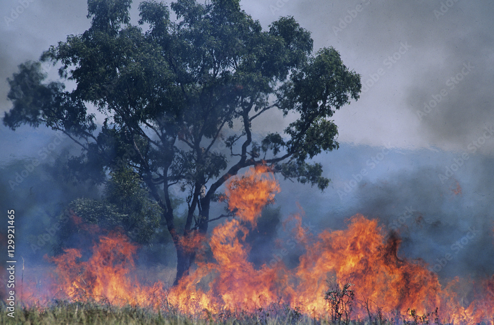 Australia Bush fire