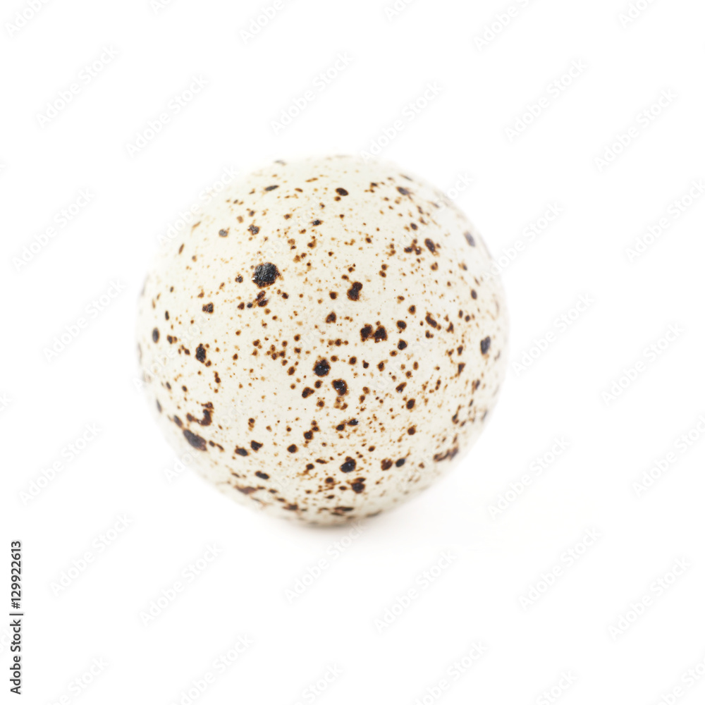Quail egg isolated over white background Quail egg isolated over white background