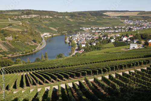 Vineyards and village of Machtum, Mosel Valley photo