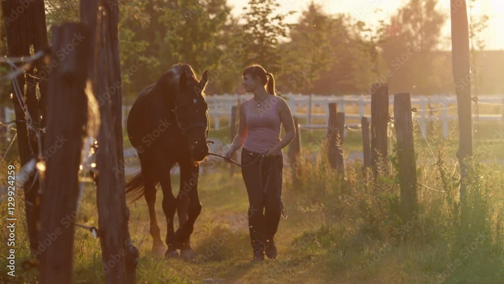 SLOW MOTION: Young woman leading a horse by the reins and petting him on sunset SLOW MOTION: Young woman leading a horse by the reins and petting him on sunset