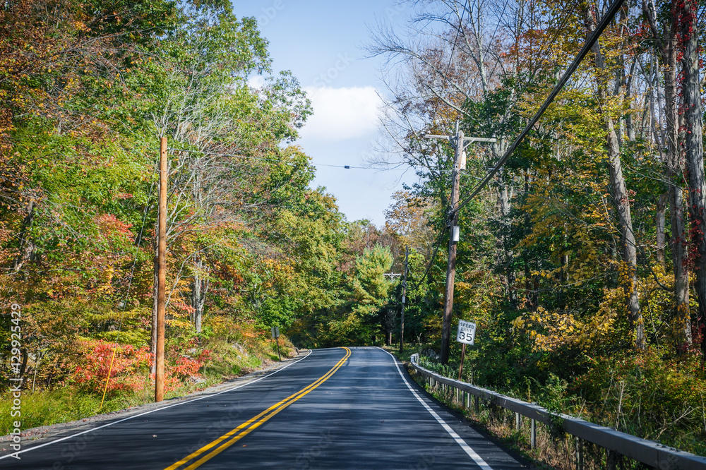 Fototapeta premium The autumn road