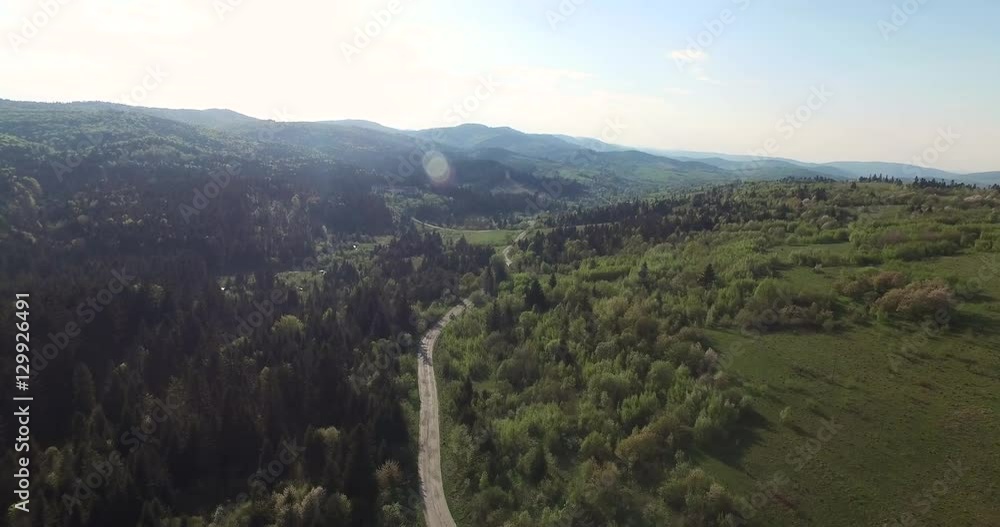 Road along the forest filled sunlight. Aerial view Road along the forest filled sunlight. Aerial view