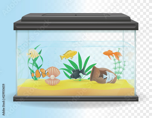 transparent aquarium vector illustration