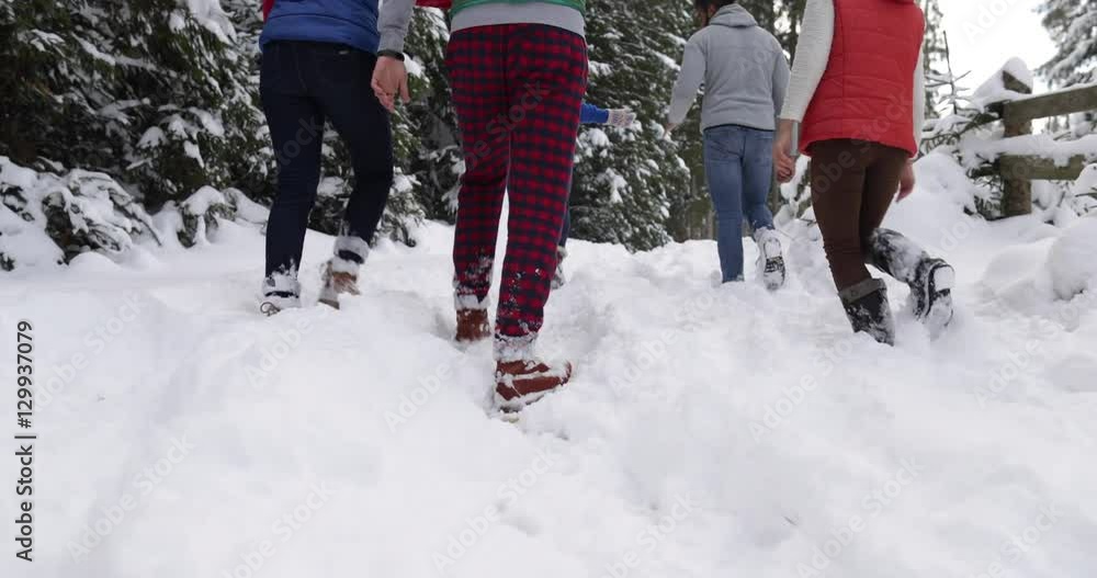 Group Of People Winter Snow Forest Walking Friends Path In Snowy Park Back View Slow Motion 60