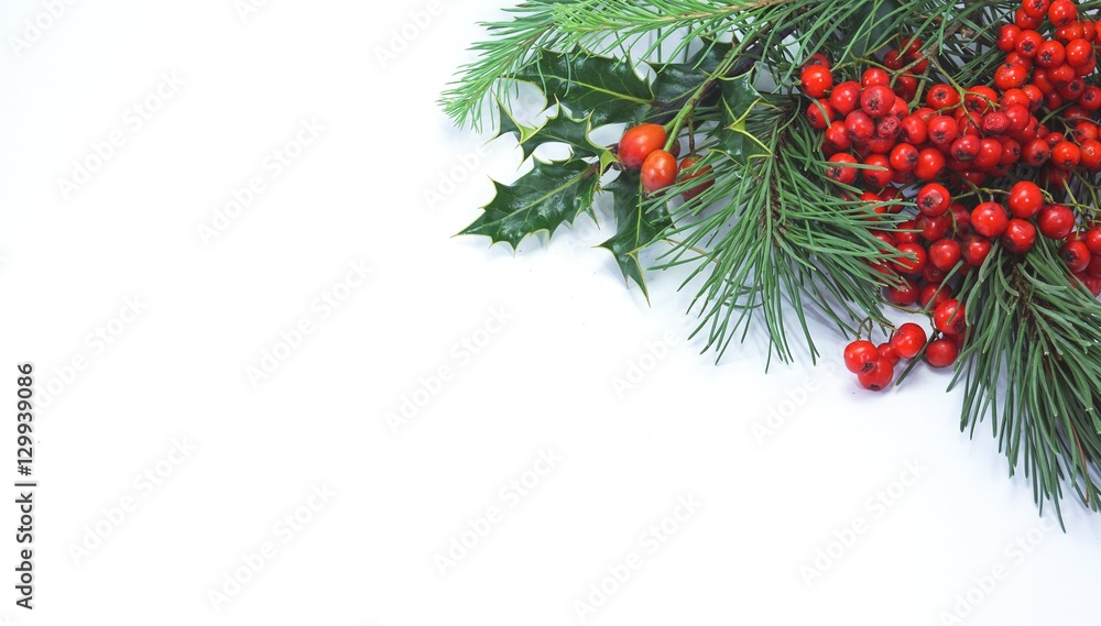 Christmas decoration with Pine cone, ornament, Isolated on white background. 