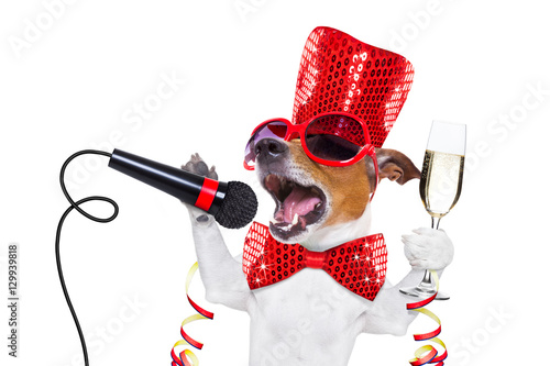 Photography happy new year dog celberation