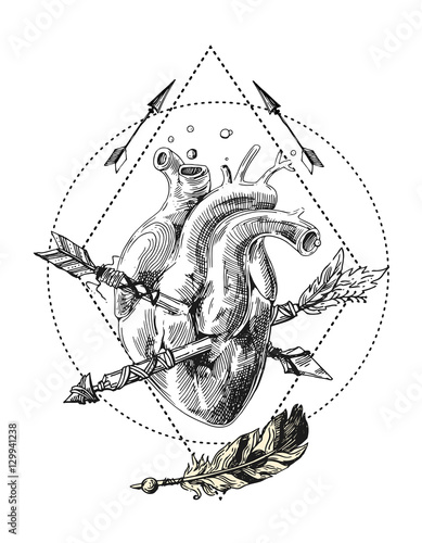 sketch of human heart