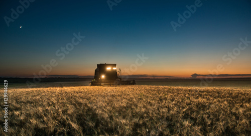 Combine harvester working on a wheat crop at night