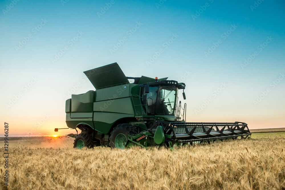 Obraz premium Combine harvester working on a wheat crop at sunset