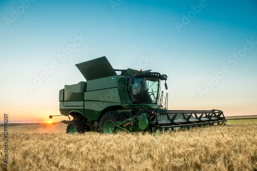 Fototapeta Naklejka Na Ścianę i Meble -  Combine harvester working on a wheat crop at sunset