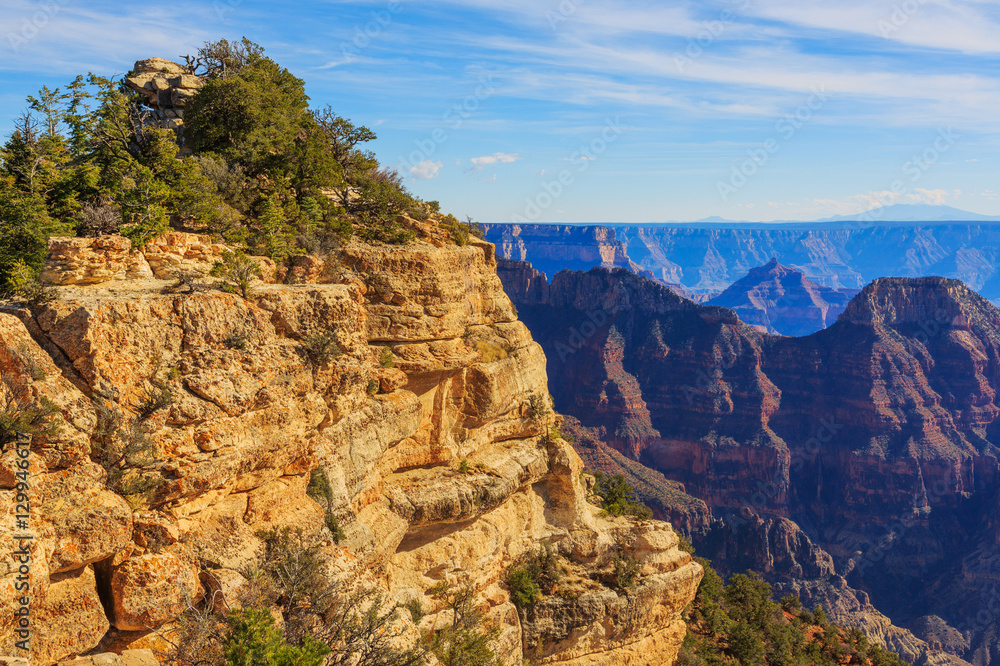 Beautiful view from North Rim of the Grand Canyon, Arizona, Unit