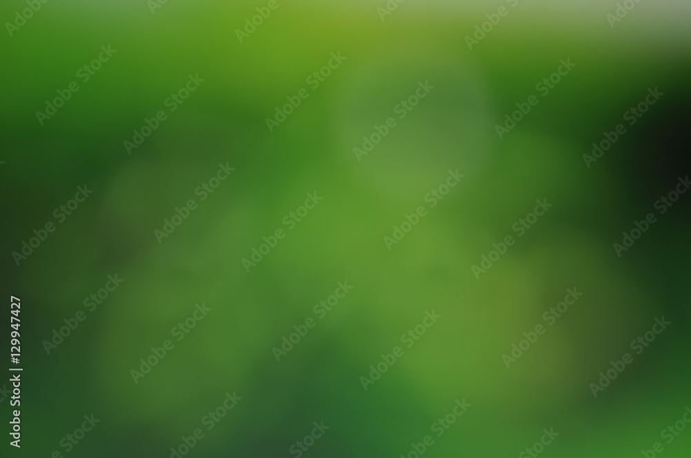 Fototapeta premium Natural bokeh green protective color shiny bright out of focus c