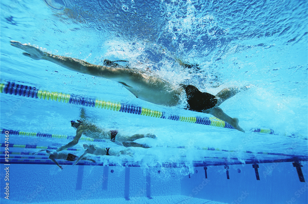 Four swimmers swimming together in a line during race - obrazy, fototapety, plakaty 