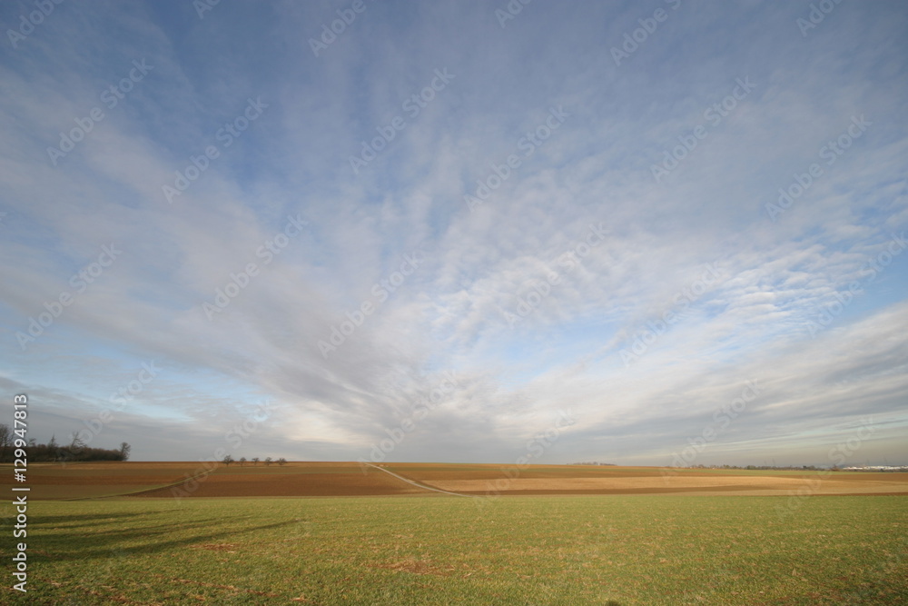 Hintergrundbild Feld und Himmel