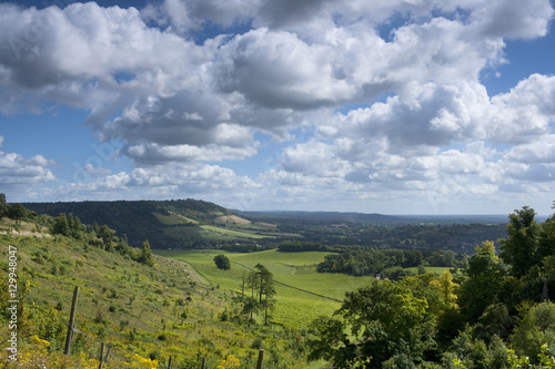 Distant view of Box Hill, near Dorking, Surrey Hills, North Downs, Surrey photo