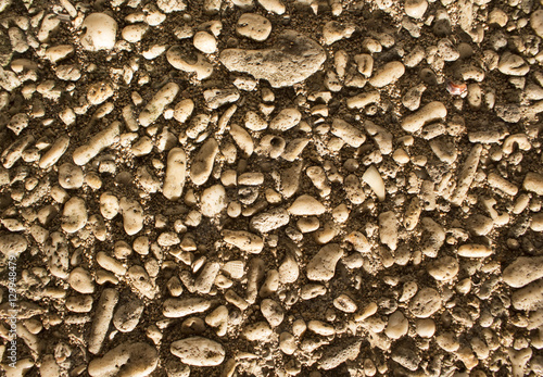 Pebble stone and dead corals on beach. Sunny beach texture closeup photo.