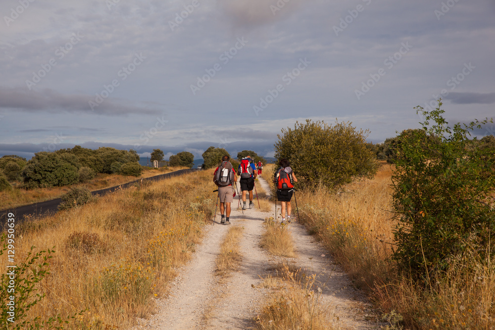 Fototapeta premium Pilgrimns along the way of St. James