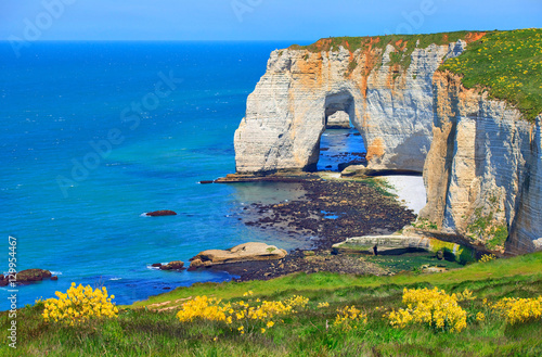 Manneporte, falaise d'Étretat au printemps, Normandie  photo