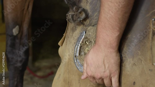 CLOSE UP: Skillful farrier carefully removing nails from horseshoe on horse hoof photo