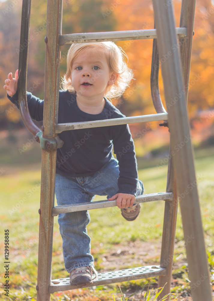 Toddler Climbing Ladder Toddler Climbing Ladder