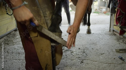 Close up farrier gently filling off sharp edges, blending nails on horse shoe photo