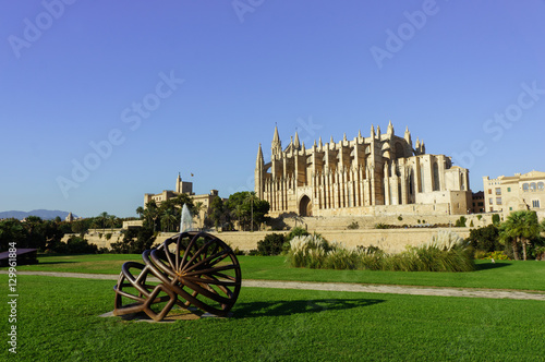 The Cathedral of Santa Maria of Palma