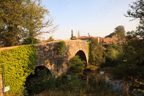 Mediaeval bridge in Furelos photo