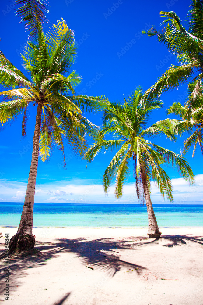 Beautiful tropical beach with palm trees, white sand, turquoise ocean water and blue sky