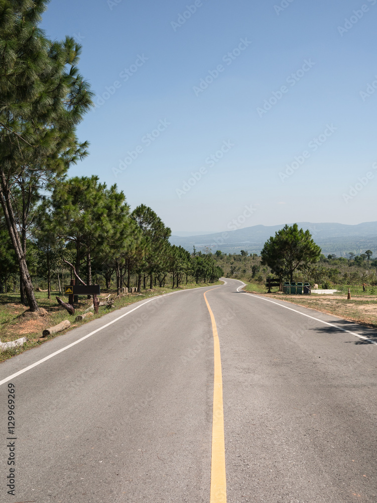Empty road with green forest on blue sky
