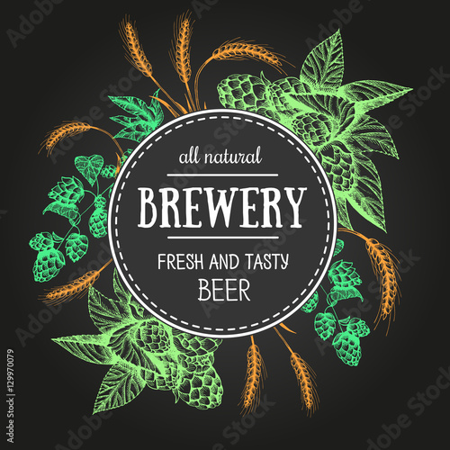 Design template for beer pub. Menu label with barley and hop. Circle concept. Hand-drawn vector illustration