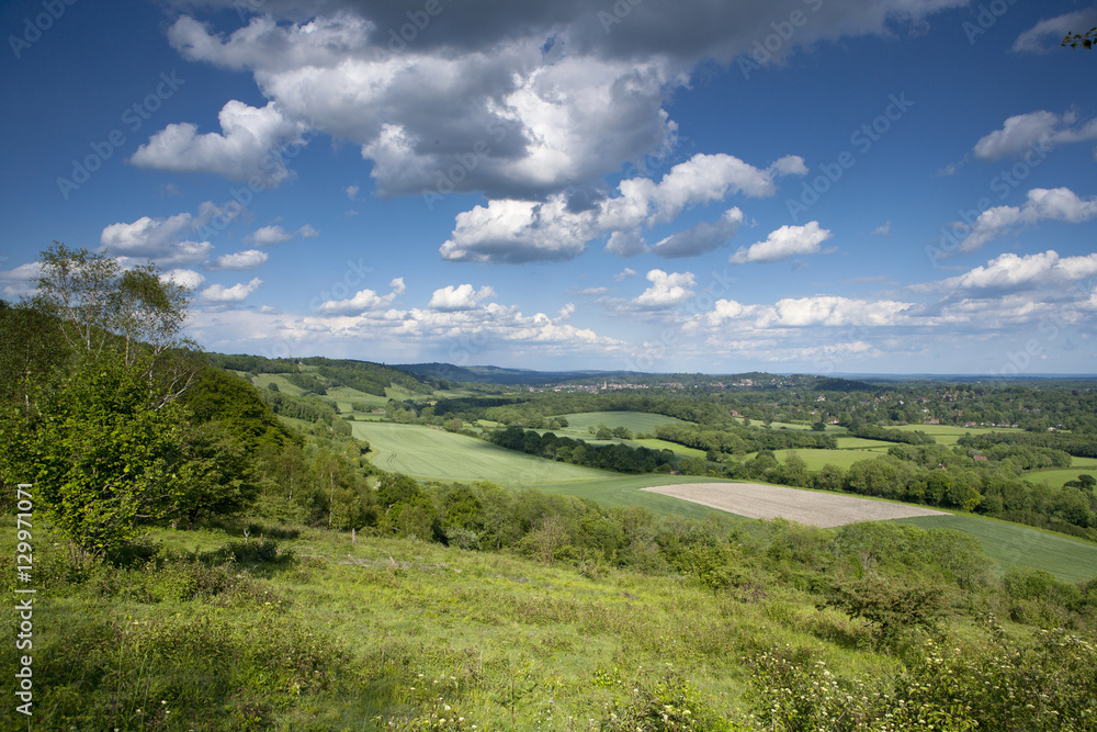 Summer view east along The Surrey Hills, from White Down, Dorking in the distance, North Downs, Surrey Summer view east along The Surrey Hills, from White Down, Dorking in the distance, North Downs, Surrey