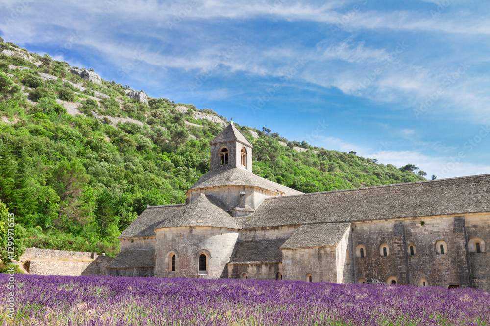 view of famous Abbey Senanque with lavender at summer day, France