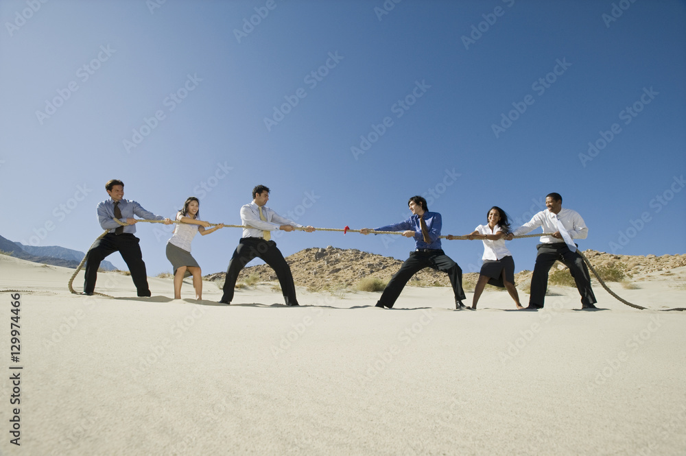 Side view of a group of multiethnic business people playing tug of war ...