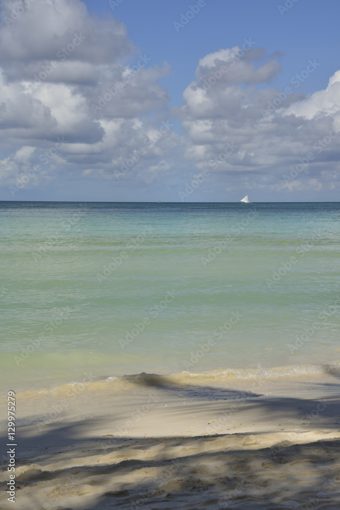 Idyllic Beach with White Sands (Vertical)