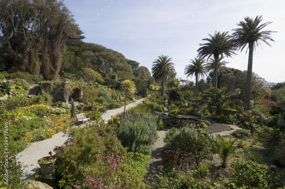 The Abbey Gardens, Tresco, Isles of Scilly, off Cornwall The Abbey Gardens, Tresco, Isles of Scilly, off Cornwall