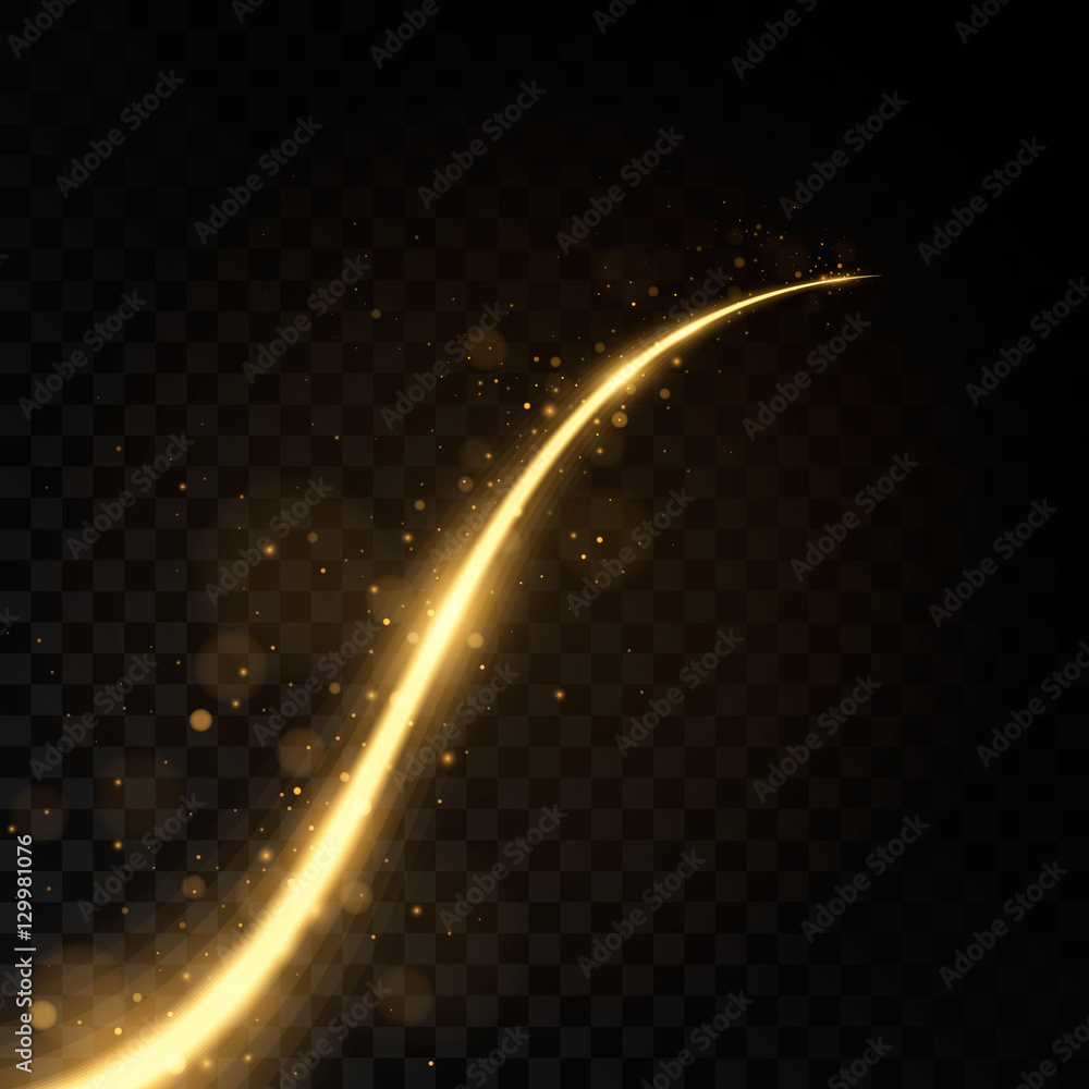 Golden moving line with light effects. Isolated on black transparent background. Vector illustration, eps 10.
 - obrazy, fototapety, plakaty 