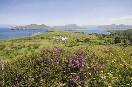 Valentia Island, Ring of Kerry, County Kerry, Munster, Republic of Ireland photo