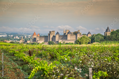 Obraz na płótnie Vineyards growing outside the medieval fortress of Carcassonne i w salonie