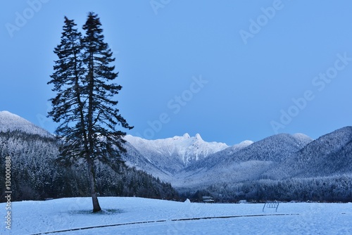 Cleveland Park with Lions Mountains, North Vancouer photo