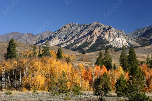 Fall in the Sawtooths