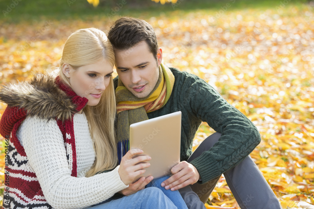 Couple using digital tablet together in park during autumn Couple using digital tablet together in park during autumn