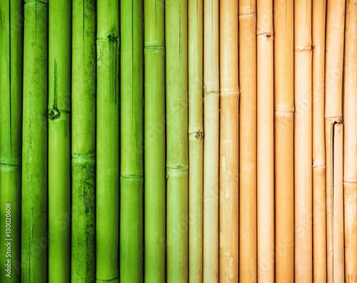 Fototapeta Naklejka Na Ścianę i Meble -  Bamboo texture background, faded bamboo fence wall 
