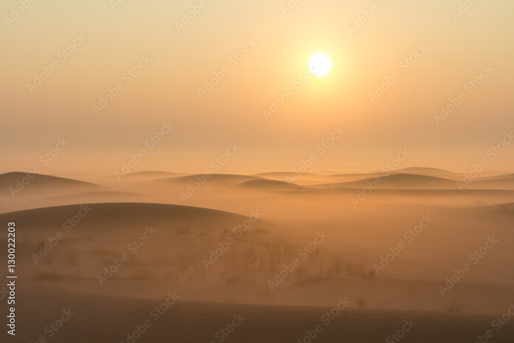 Quiet moment in desert during sunrise. Dubai, UAE. Quiet moment in desert during sunrise. Dubai, UAE.
