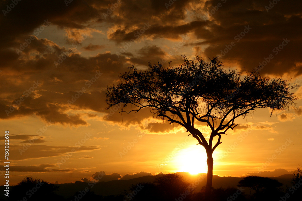 African Sunset. Tanzania, Africa
