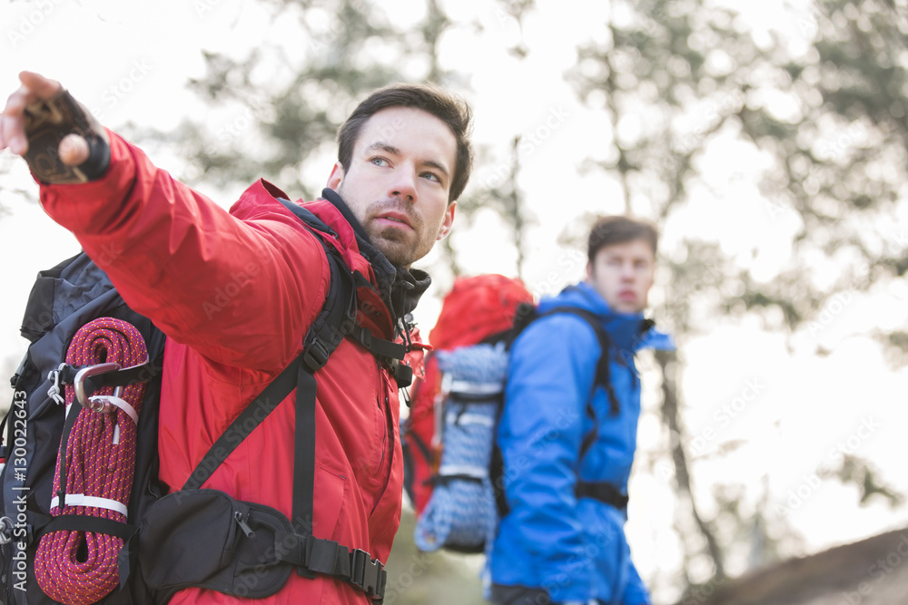 Young male hiker showing something to friend in forest Young male hiker showing something to friend in forest